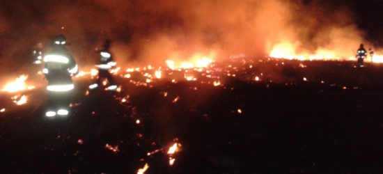 Bezmyślne wypalanie traw… Strażacy odnotowali już 118 pożarów! (ZDJĘCIA)