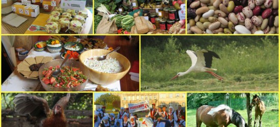 WALKA O ZDROWIE: Prawdziwa żywność od prawdziwych rolników! Podpisz “Deklarację Belwederską”