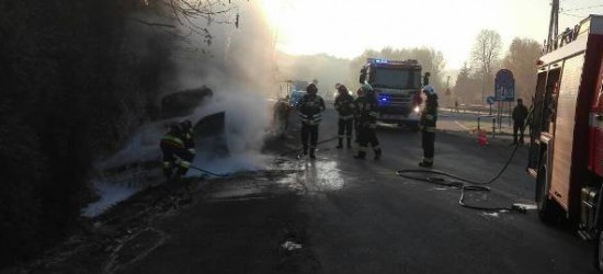 Osobowy ford zapalił się podczas jazdy. Spłonął doszczętnie (ZDJĘCIA)