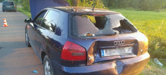 17-latka z powiatu krośnieńskiego jadąc na motorowerze nie wyhamowała i zderzyła się z osobowym audi (ZDJĘCIA)